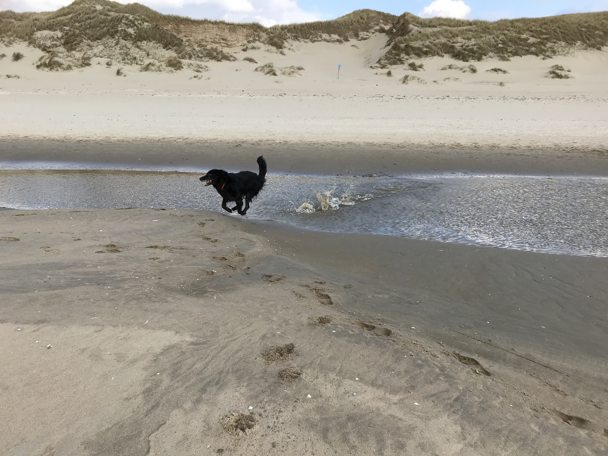 Mehr über den Artikel erfahren Strandfreude